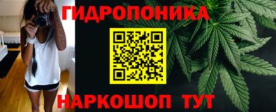 2c-b Новозыбков